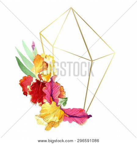 Red Bold Encounter Iris Floral Botanical Flowers. Watercolor Background Illustration Set. Frame Bord