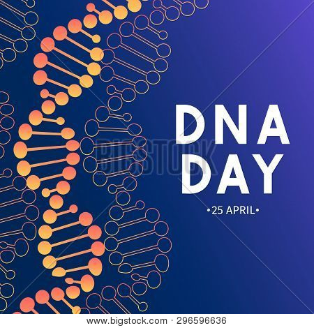 Neon Helix Of Human Dna Molecule. Dna Day Typography Poster. Science Concept Vector Illustration. Ea