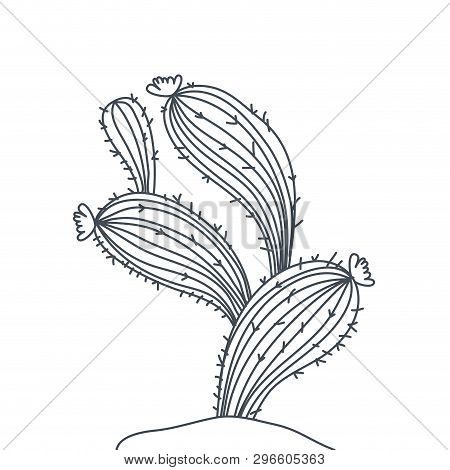Cactus In Landscape Isolated Icon Vector Illustration Design