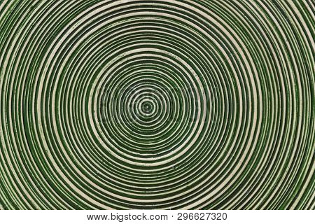 Background Of Old Pottery With Molds Of Mint