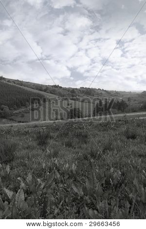 緑豊かなアイルランドの田舎ティペラリー