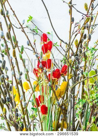 Spring Feeling Nature Background With Willow Branches Pussy Willow Srpingtime Background, Selective 