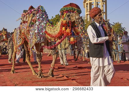 Nagaur, Rajasthan, India - February 13, 2008: Decorated Camel At The Annual Livestock Festival In Na