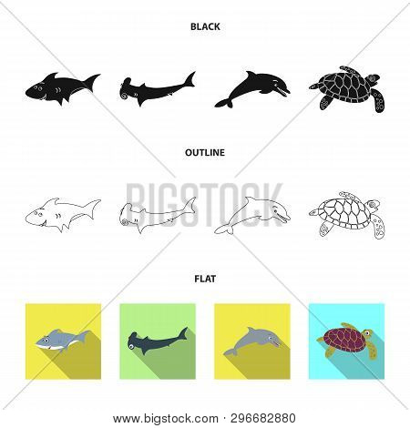 Vector Illustration Of Sea And Animal Logo. Set Of Sea And Marine Stock Vector Illustration.