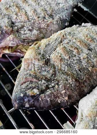 Closed Up Fof Barbeque Grilled Fish Background
