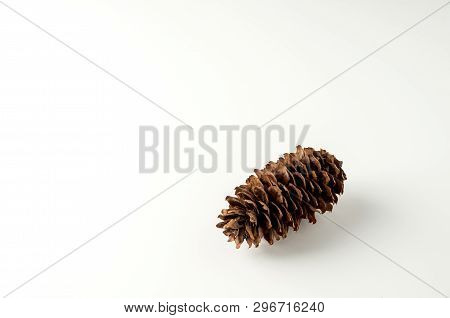 Pine Cone On White Background Christmas Decoration