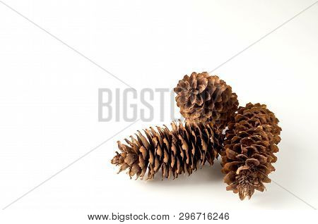 Pine Cone On White Background Christmas Decoration