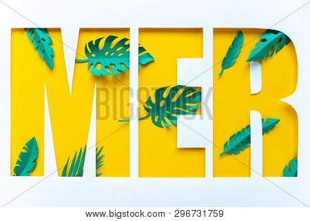 Letter Mer Cut From Paper With Tropical Palm Leaves From Paper