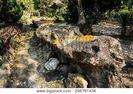 Wood Fossils On The Center Of Park Or Garden In Bogor Indonesia Become Rock Or Stone - Photo Indones