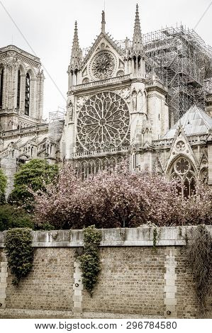 Paris, France - April 16th, 2019: The Cathedral Notre Dame De Paris After The Tragic Fire. The Spire