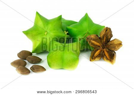 Sacha Inchi, Fresh Capsule Seeds Fruit Of Sacha-inchi Peanut