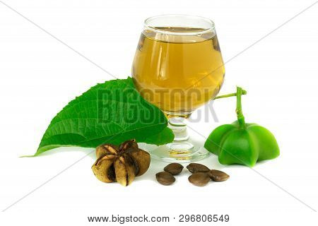 Sacha Inchi, Fresh Capsule Seeds Fruit Of Sacha-inchi Peanut