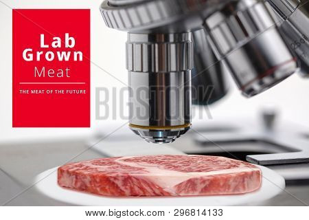Conceptual Photo Of Artificial Lab Grown Meat, Cultured Meat,