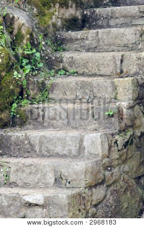 Mossed schodiště