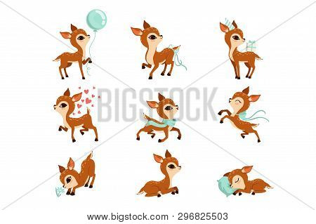 Flat Vector Set Of Cute Fawn In Different Actions. Cartoon Character Of Little Deer. Adorable Forest