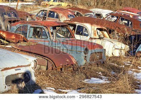 Old Rusty Antique Car Wrecks In A Car Cemetary