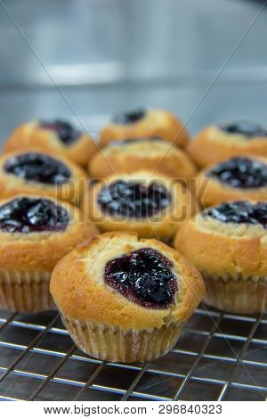 A For Abf Blueberry Muffin For Background