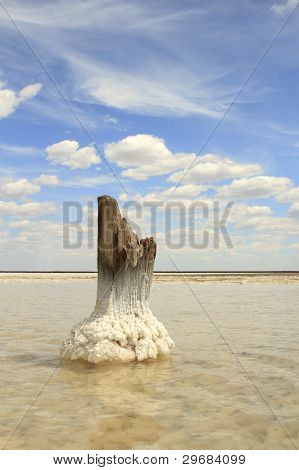 Salt Lake Baskunchak, Russia