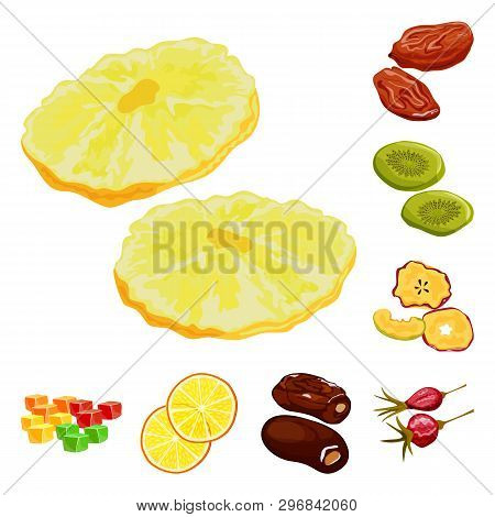 Vector Illustration Of Fruit And Dried  Sign. Collection Of Fruit And Food  Stock Symbol For Web.