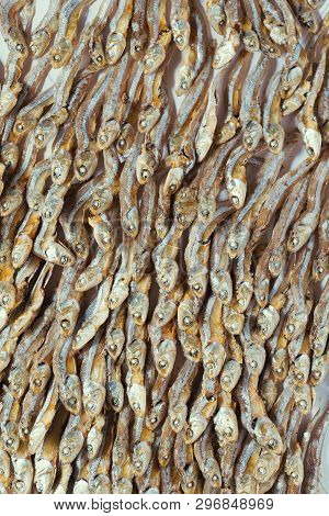 Plenty Of Small Dried Fish From Sea That Are Arranged In Group,top View Of Small Dried Fish Pattern,