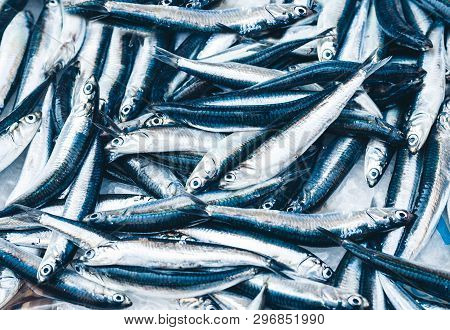 Fresh Fish For Sale In The Fish Market Pescheria Of Catania, Sicily, Italy