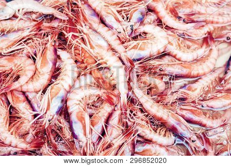Fresh Shrimp Seafood For Sale In The Fish Market Pescheria Of Catania, Sicily, Italy
