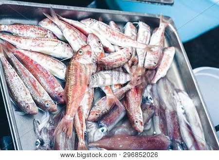 Fresh Fish For Sale In The Fish Market Pescheria Of Catania, Sicily, Italy
