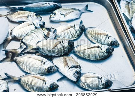 Fresh Fish For Sale In The Fish Market Pescheria Of Catania, Sicily, Italy