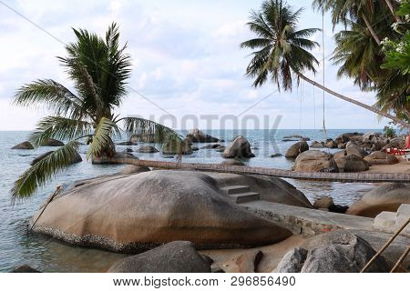 The Coconut Tree Lies On The Stone (in Vietnamese It Means A Thousand Year Old Coconut Tree) At Hon 