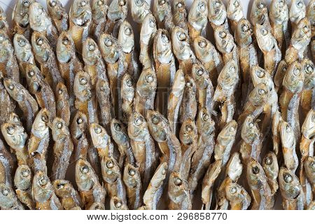 Plenty Of Small Dried Fish From Sea That Are Arranged In Group,top View Of Small Dried Fish Pattern,