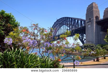 Sydney Harbour Bridge ja lehtien