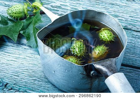 Healing Potion From Datura.
