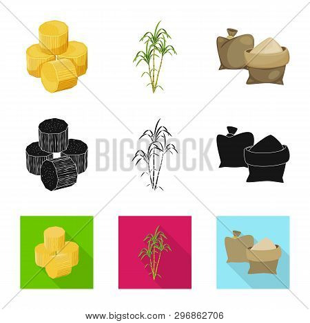 Vector Design Of Farm And Agriculture  Logo. Set Of Farm And Technology Stock Symbol For Web.