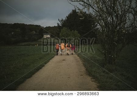 Sarria, Spain - April 6th, 2019: Group Of Pilgrims With Backpack Walking By Camino De Santiago Way I