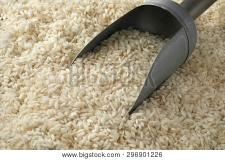 Scoop with Italian Carnaroli risotto rice full frame
