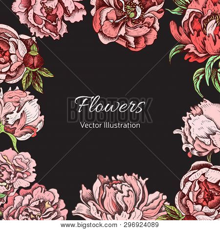 Vector Illustration Sketch - Card With Flowers Chrysanthemum, Peony. Wedding Invitation With Flower.