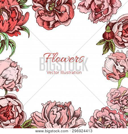 Vector Illustration Sketch - Card With Flowers Chrysanthemum, Peony. Wedding Invitation With Flower.