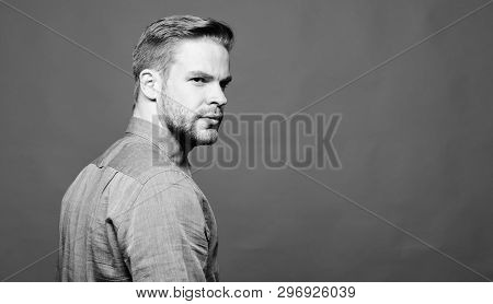 Ceo And Employee. Man Boss. Male Fashion. Unshaven Man In Shirt. Businessman With Confident Look. Bu