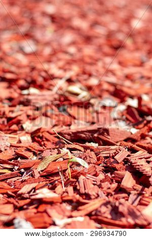 Bright Red Wooden Natural Mulch. Pine Shavings For Lawn Mulching. Decorative Mulching Of Beds, Lawns