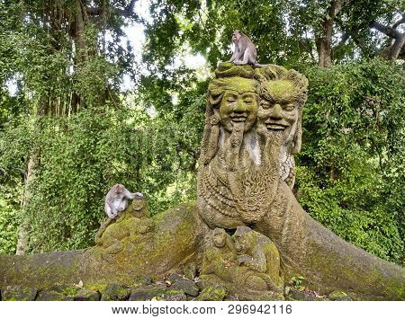Taiwanese Macaque Or Taiwanese Rhesus (macaca Cyclopis) Next To The Stone Monkeys. Distributed In Ta