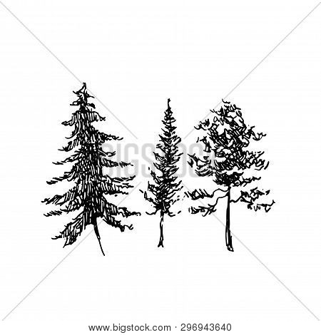 Rural Sketch Andscape. Vector Illustration. Ink Hand Drawing Landscape.