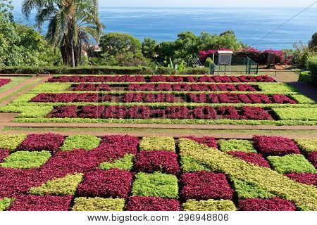 View Over Jardim Botanico Garden On Portuguese Island Of Madeira