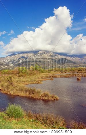 Wetland Landscape. Montenegro. View Of Special Botanical And Animal Reserve Tivat Salina  ( Tivatska