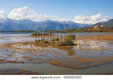 Wetland Landscape. Montenegro. View Of Tivat Salina  ( Tivatska Solila ) - Special Botanical And Ani