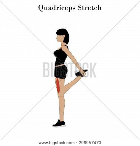 Quadriceps Stretch Exercise On The White Background. Vector Illustration