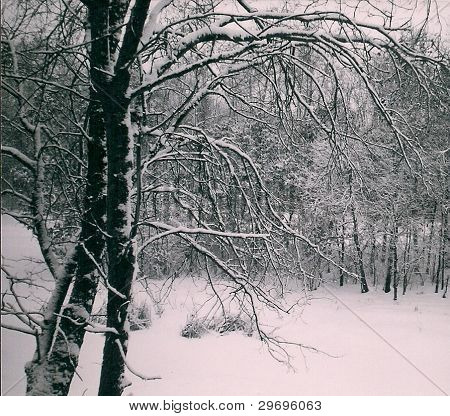 Inverno de Minnesota
