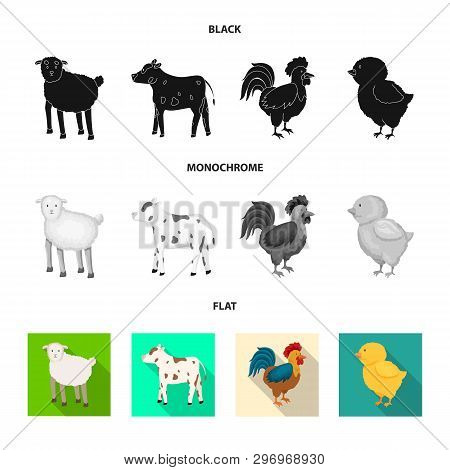 Vector Illustration Of Breeding And Kitchen  Icon. Set Of Breeding And Organic  Vector Icon For Stoc