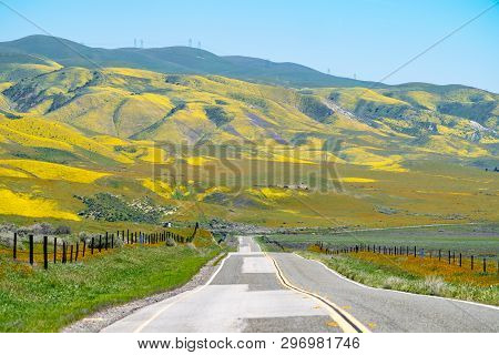 Leading Lines Of Highway 58 Going Through Carrizo Plain National Monument When The Hills Are Filled 