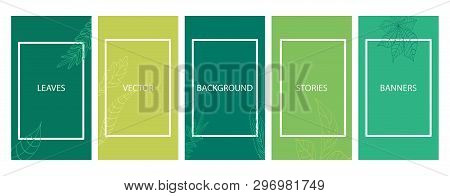 Social Media Stories Banners Set, Story, Minimalistic Templates With Leaves For Cover, Flyier, Broch