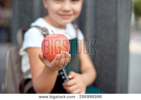 Happy Little Schoolgirl With Blond Hair In School Uniform With Lunch, Book Sits Near School.